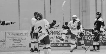 mk体育在线下载-世界冰球：加拿大队霸气夺冠，金牌大满贯！，冰球加拿大人队